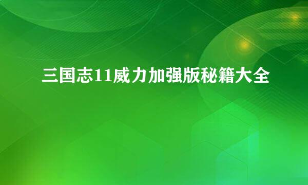 三国志11威力加强版秘籍大全