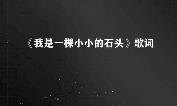 《我是一棵小小的石头》歌词