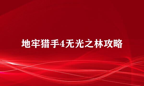 地牢猎手4无光之林攻略