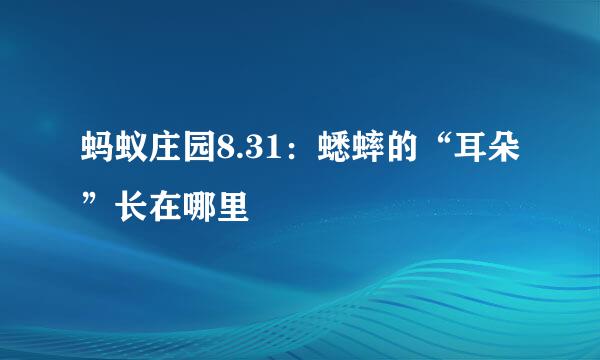 蚂蚁庄园8.31：蟋蟀的“耳朵”长在哪里