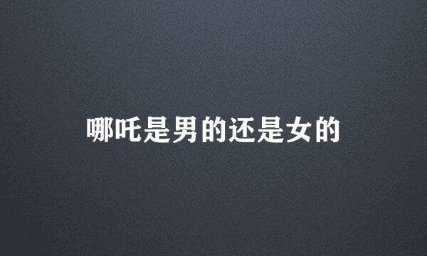 哪吒是男的还是女的