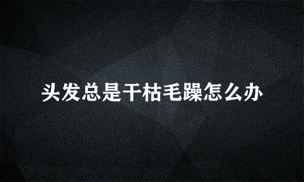 头发总是干枯毛躁怎么办