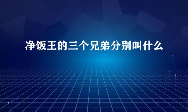 净饭王的三个兄弟分别叫什么