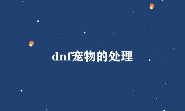 dnf宠物的处理
