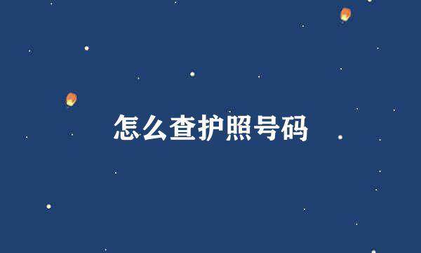 怎么查护照号码