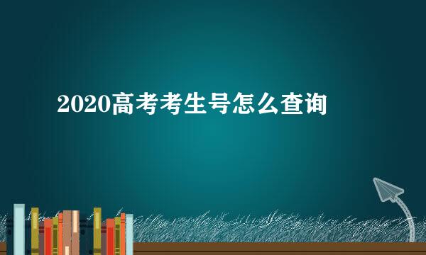 2020高考考生号怎么查询
