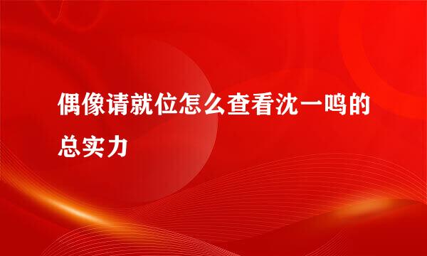 偶像请就位怎么查看沈一鸣的总实力