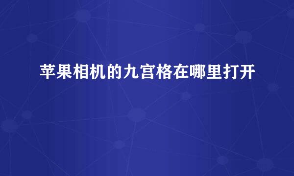 苹果相机的九宫格在哪里打开