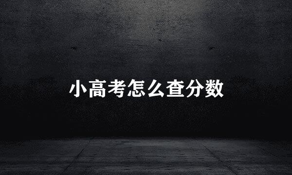 小高考怎么查分数