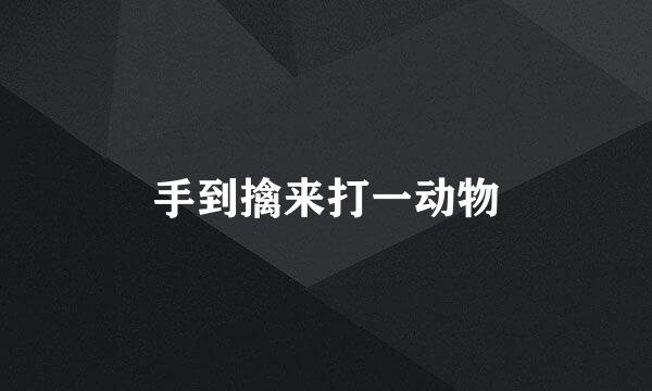手到擒来打一动物
