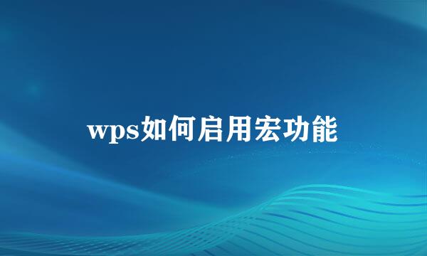 wps如何启用宏功能