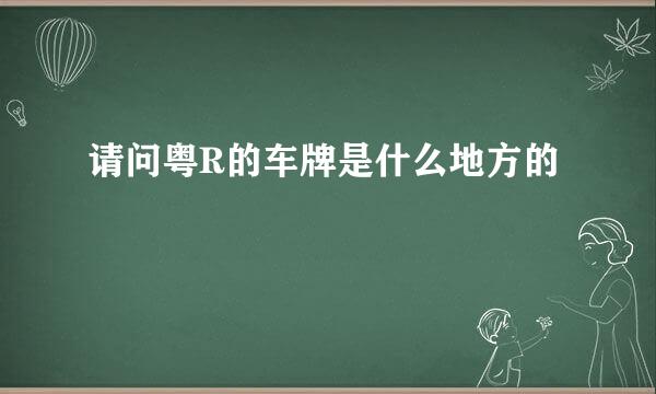 请问粤R的车牌是什么地方的