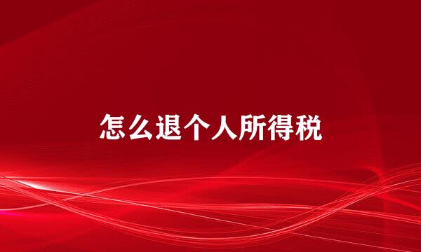 怎么退个人所得税