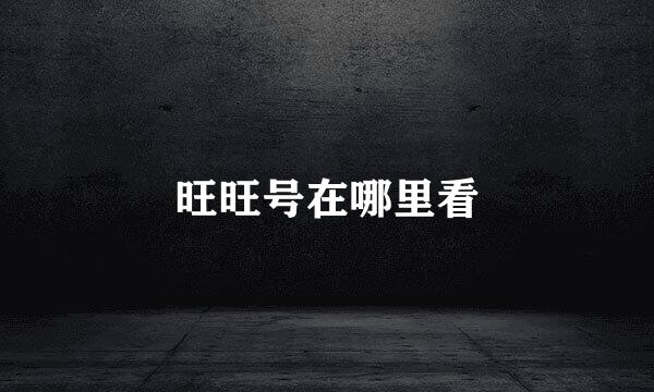 旺旺号在哪里看
