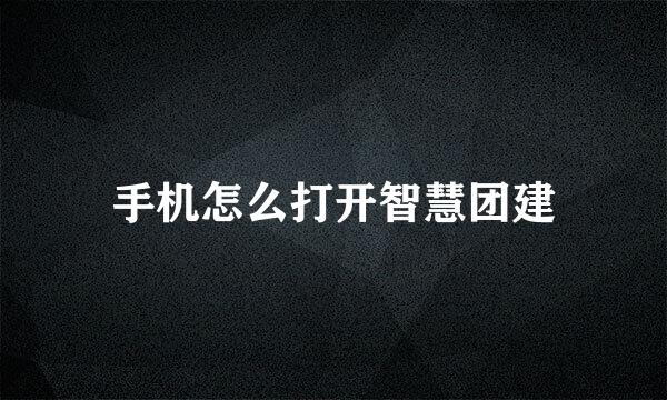 手机怎么打开智慧团建