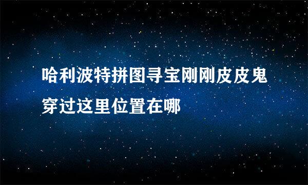 哈利波特拼图寻宝刚刚皮皮鬼穿过这里位置在哪