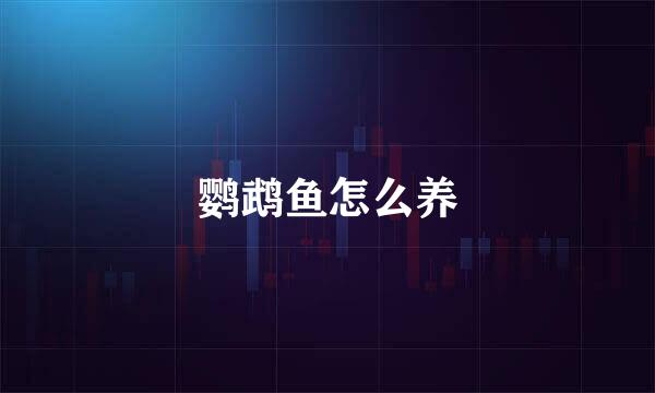 鹦鹉鱼怎么养
