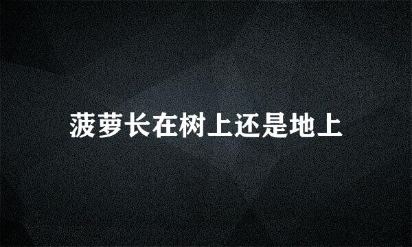 菠萝长在树上还是地上
