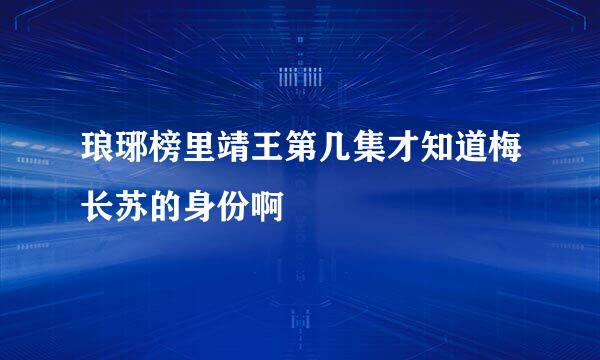 琅琊榜里靖王第几集才知道梅长苏的身份啊