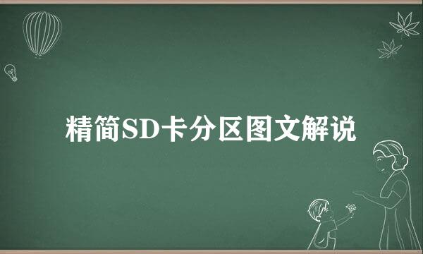 精简SD卡分区图文解说