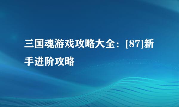 三国魂游戏攻略大全：[87]新手进阶攻略