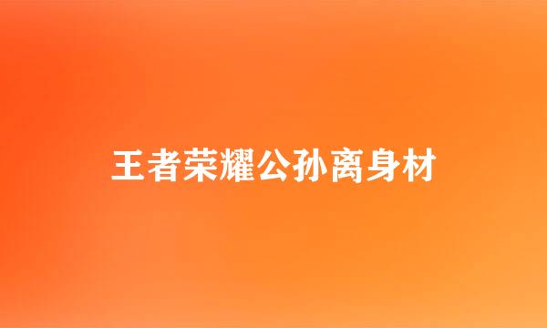 王者荣耀公孙离身材