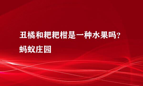 丑橘和耙耙柑是一种水果吗？蚂蚁庄园