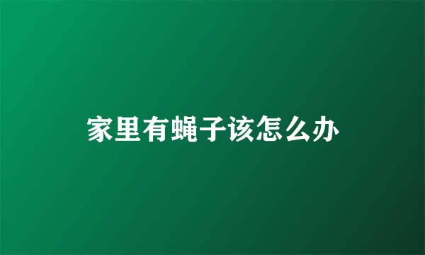 家里有蝇子该怎么办