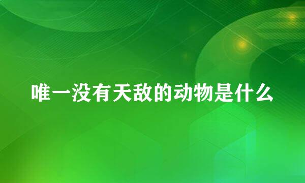 唯一没有天敌的动物是什么