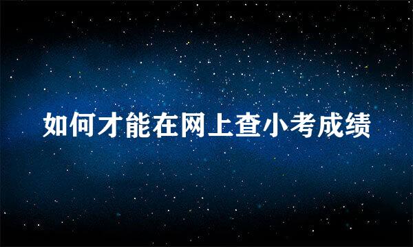 如何才能在网上查小考成绩