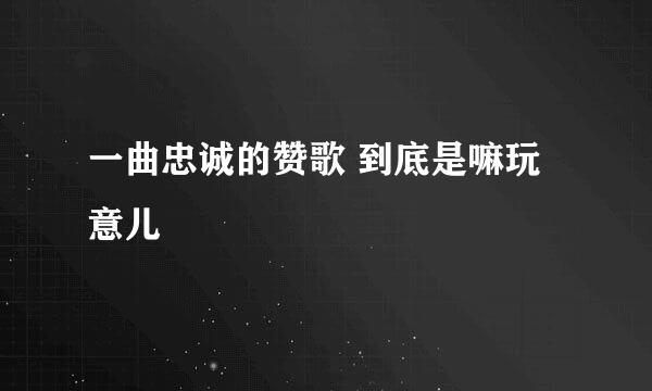 一曲忠诚的赞歌 到底是嘛玩意儿