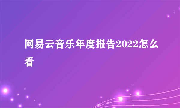 网易云音乐年度报告2022怎么看
