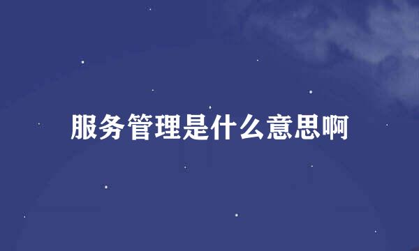 服务管理是什么意思啊