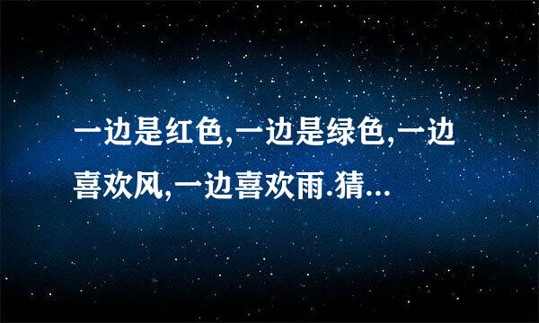 一边是红色,一边是绿色,一边喜欢风,一边喜欢雨.猜是什么字