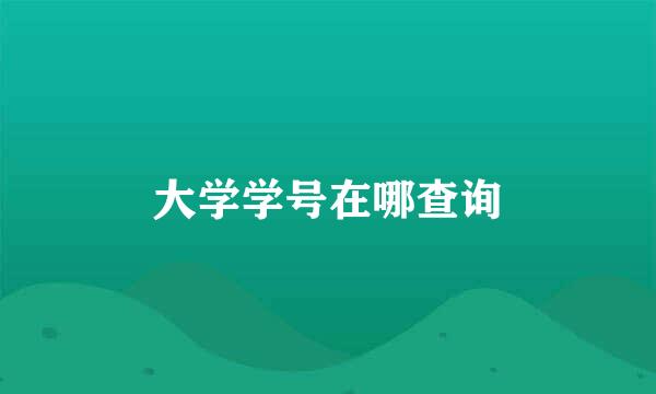 大学学号在哪查询