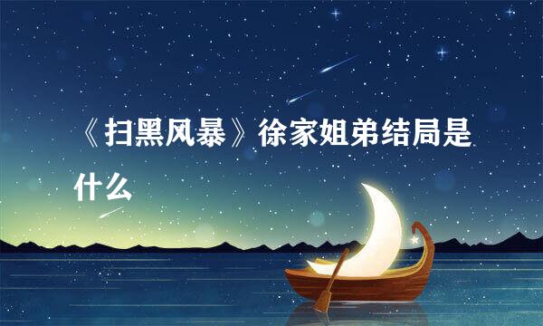 《扫黑风暴》徐家姐弟结局是什么
