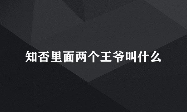 知否里面两个王爷叫什么