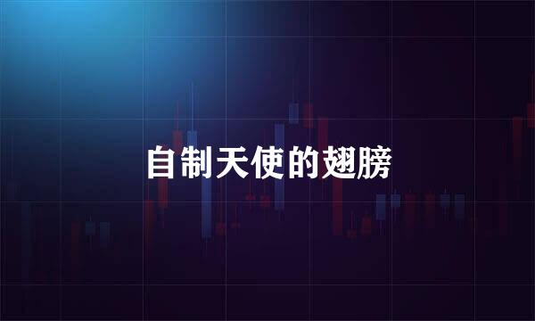自制天使的翅膀