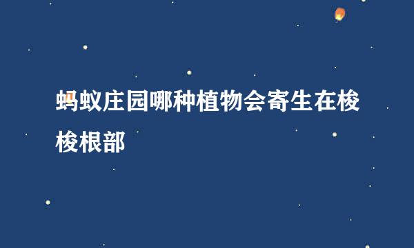 蚂蚁庄园哪种植物会寄生在梭梭根部