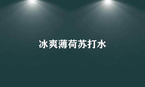 冰爽薄荷苏打水