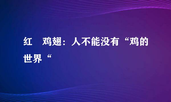 红炆鸡翅：人不能没有“鸡的世界“