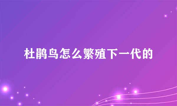 杜鹃鸟怎么繁殖下一代的