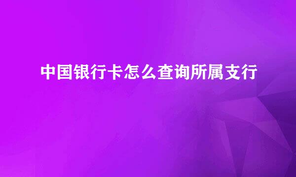 中国银行卡怎么查询所属支行