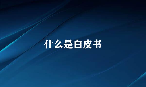 什么是白皮书