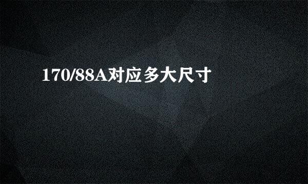 170/88A对应多大尺寸