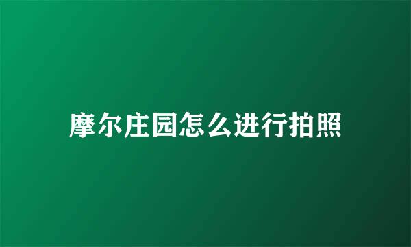 摩尔庄园怎么进行拍照