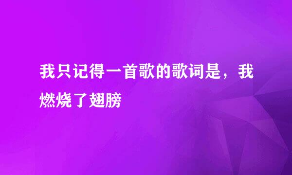 我只记得一首歌的歌词是，我燃烧了翅膀
