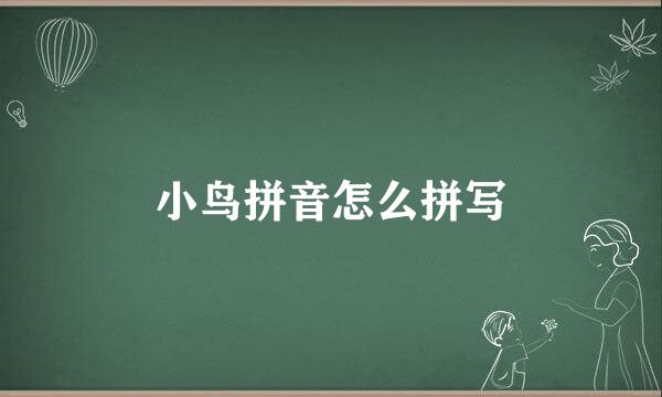 小鸟拼音怎么拼写