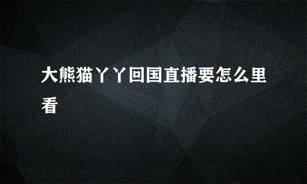 大熊猫丫丫回国直播要怎么里看
