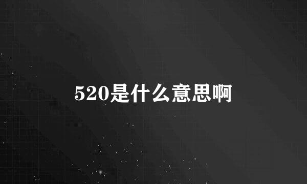 520是什么意思啊